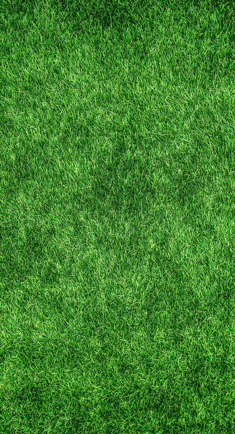Eco-friendly techniques